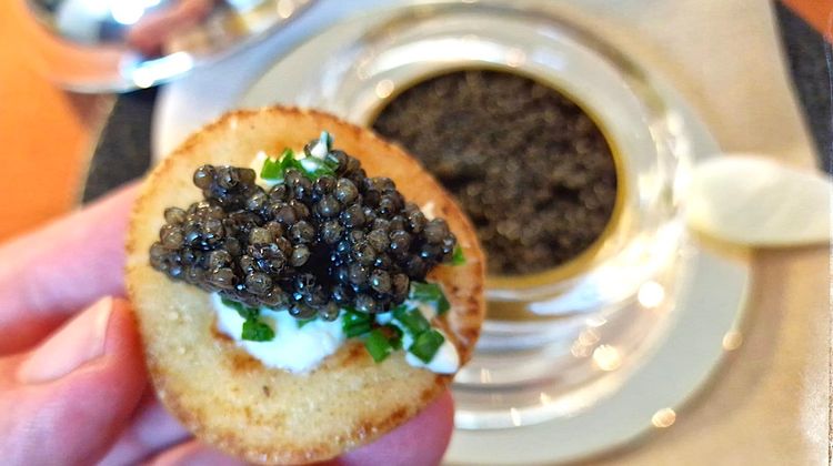 CAVIAR D’AQUITAINE - Reconnaissance pour l’or noir du Sud-Ouest